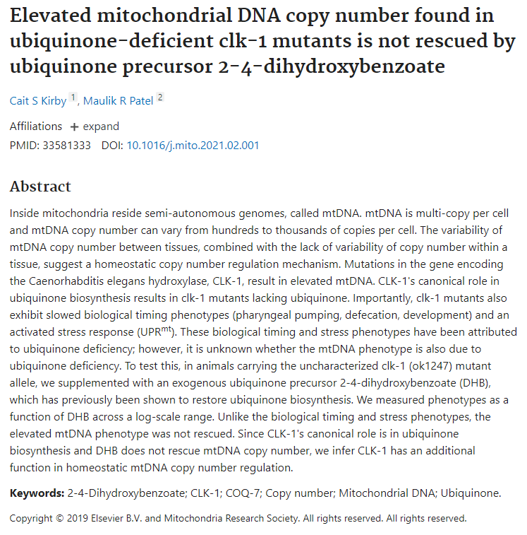 Black text on white background Elevated mitochondrial DNA copy number found in ubiquinone-deficient clk-1 mutants is not rescued by ubiquinone precursor 2-4-dihydroxybenzoate
Cait S Kirby 1, Maulik R Patel 2
Affiliations expand
PMID: 33581333 DOI: 10.1016/j.mito.2021.02.001
Abstract
Inside mitochondria reside semi-autonomous genomes, called mtDNA. mtDNA is multi-copy per cell and mtDNA copy number can vary from hundreds to thousands of copies per cell. The variability of mtDNA copy number between tissues, combined with the lack of variability of copy number within a tissue, suggest a homeostatic copy number regulation mechanism. Mutations in the gene encoding the Caenorhabditis elegans hydroxylase, CLK-1, result in elevated mtDNA. CLK-1's canonical role in ubiquinone biosynthesis results in clk-1 mutants lacking ubiquinone. Importantly, clk-1 mutants also exhibit slowed biological timing phenotypes (pharyngeal pumping, defecation, development) and an activated stress response (UPRmt). These biological timing and stress phenotypes have been attributed to ubiquinone deficiency; however, it is unknown whether the mtDNA phenotype is also due to ubiquinone deficiency. To test this, in animals carrying the uncharacterized clk-1 (ok1247) mutant allele, we supplemented with an exogenous ubiquinone precursor 2-4-dihydroxybenzoate (DHB), which has previously been shown to restore ubiquinone biosynthesis. We measured phenotypes as a function of DHB across a log-scale range. Unlike the biological timing and stress phenotypes, the elevated mtDNA phenotype was not rescued. Since CLK-1's canonical role is in ubiquinone biosynthesis and DHB does not rescue mtDNA copy number, we infer CLK-1 has an additional function in homeostatic mtDNA copy number regulation.

Keywords: 2-4-Dihydroxybenzoate; CLK-1; COQ-7; Copy number; Mitochondrial DNA; Ubiquinone.

Copyright © 2019 Elsevier B.V. and Mitochondria Research Society. All rights reserved. All rights reserved.