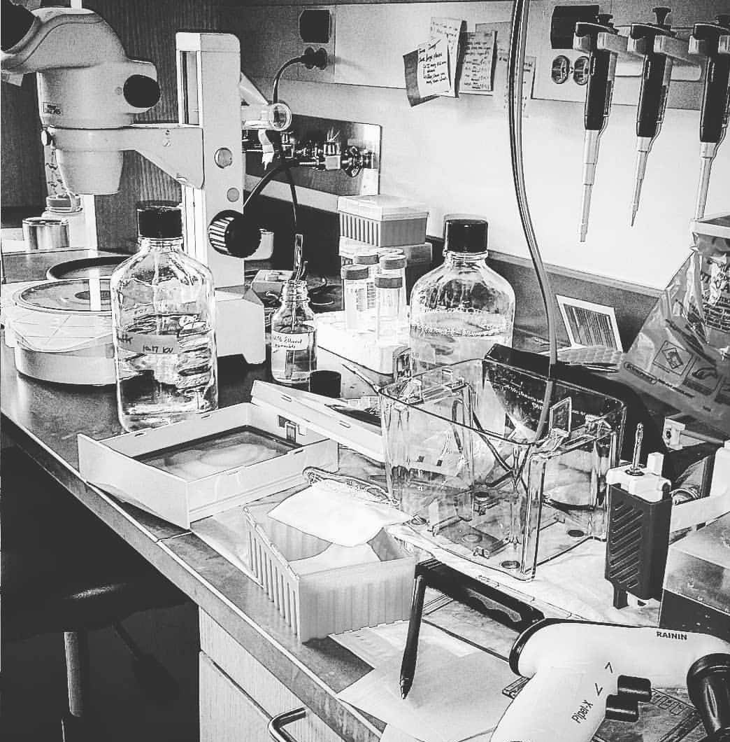 Black and white artistic photo of a messy lab bench with equipment for a Western blot strewn about.