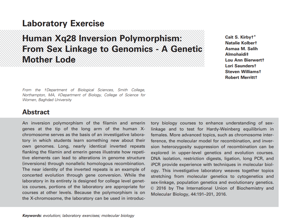 Black text on white background Human Xq28 Inversion Polymorphism:
From Sex Linkage to Genomics - A Genetic
Mother Lode Abstract
An inversion polymorphism of the filamin and emerin
genes at the tip of the long arm of the human Xchromosome serves as the basis of an investigative laboratory in which students learn something new about their
own genomes. Long, nearly identical inverted repeats
flanking the filamin and emerin genes illustrate how repetitive elements can lead to alterations in genome structure
(inversions) through nonallelic homologous recombination.
The near identity of the inverted repeats is an example of
concerted evolution through gene conversion. While the
laboratory in its entirety is designed for college level genetics courses, portions of the laboratory are appropriate for
courses at other levels. Because the polymorphism is on
the X-chromosome, the laboratory can be used in introductory biology courses to enhance understanding of sexlinkage and to test for Hardy-Weinberg equilibrium in
females. More advanced topics, such as chromosome interference, the molecular model for recombination, and inversion heterozygosity suppression of recombination can be
explored in upper-level genetics and evolution courses.
DNA isolation, restriction digests, ligation, long PCR, and
iPCR provide experience with techniques in molecular biology. This investigative laboratory weaves together topics
stretching from molecular genetics to cytogenetics and
sex-linkage, population genetics and evolutionary genetics.
VC 2016 by The International Union of Biochemistry and
Molecular Biology, 44:191–201, 2016. Keywords: evolution; laboratory exercises; molecular biology